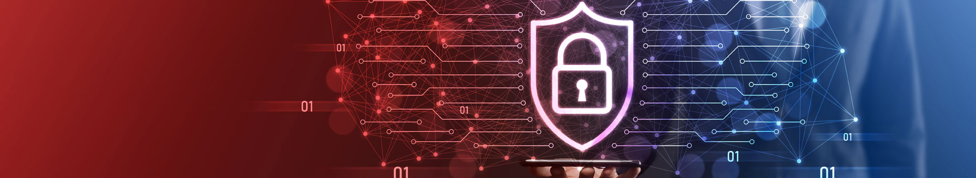 privacy-policy-page-banner-hostshop